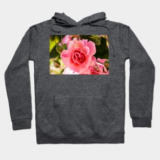 Delicate Folds Hoodie